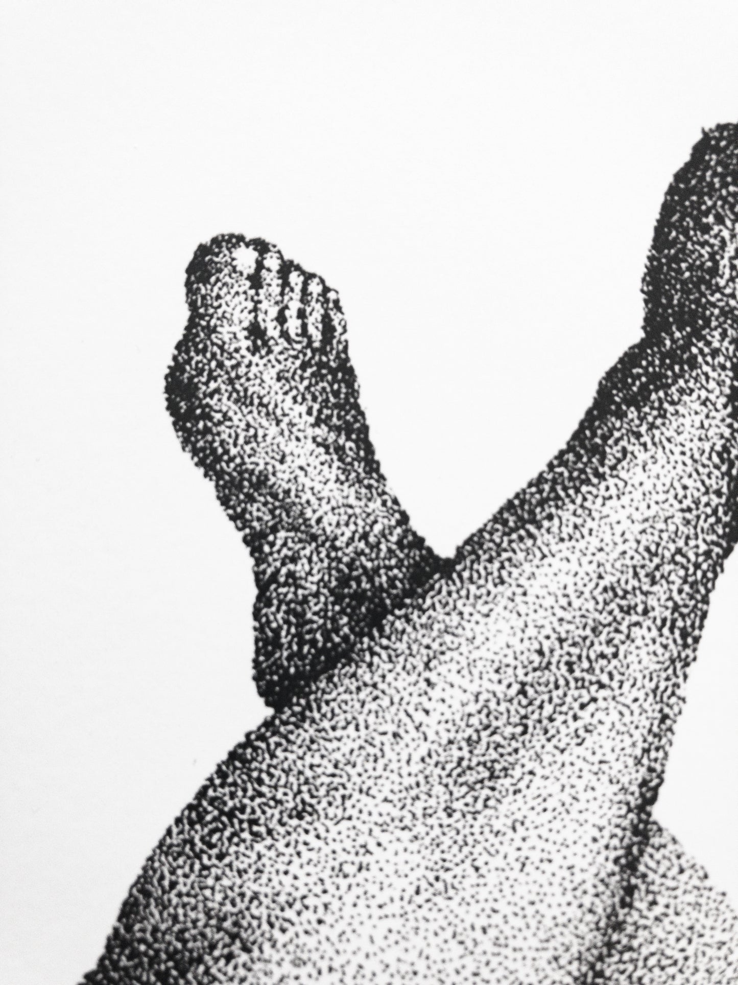 Delicate vartalokuva sisustusjuliste printti A4 koossa.
Toteutus tussikynällä pistetekniikalla eli stipling tyylillä. Tulostettu paksulle julistepaperille.

21cm x 29,7cm