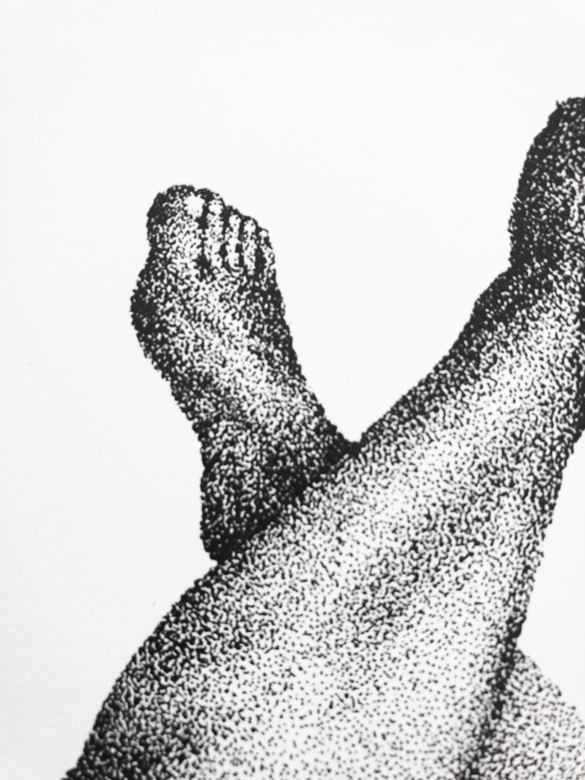 Delicate vartalokuva sisustusjuliste printti A4 koossa.
Toteutus tussikynällä pistetekniikalla eli stipling tyylillä. Tulostettu paksulle julistepaperille.

21cm x 29,7cm