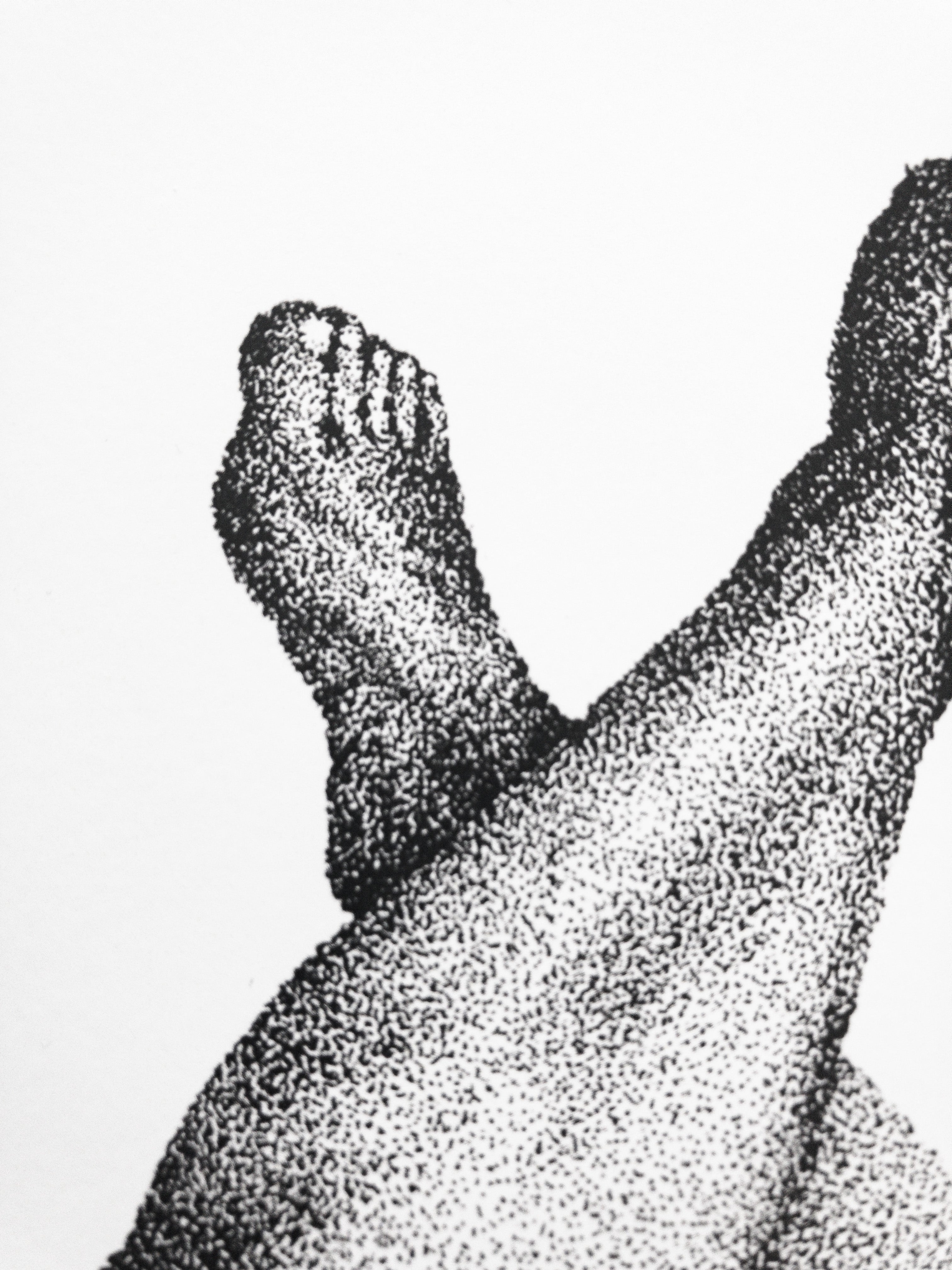 Delicate vartalokuva sisustusjuliste printti A4 koossa.
Toteutus tussikynällä pistetekniikalla eli stipling tyylillä. Tulostettu paksulle julistepaperille.

21cm x 29,7cm