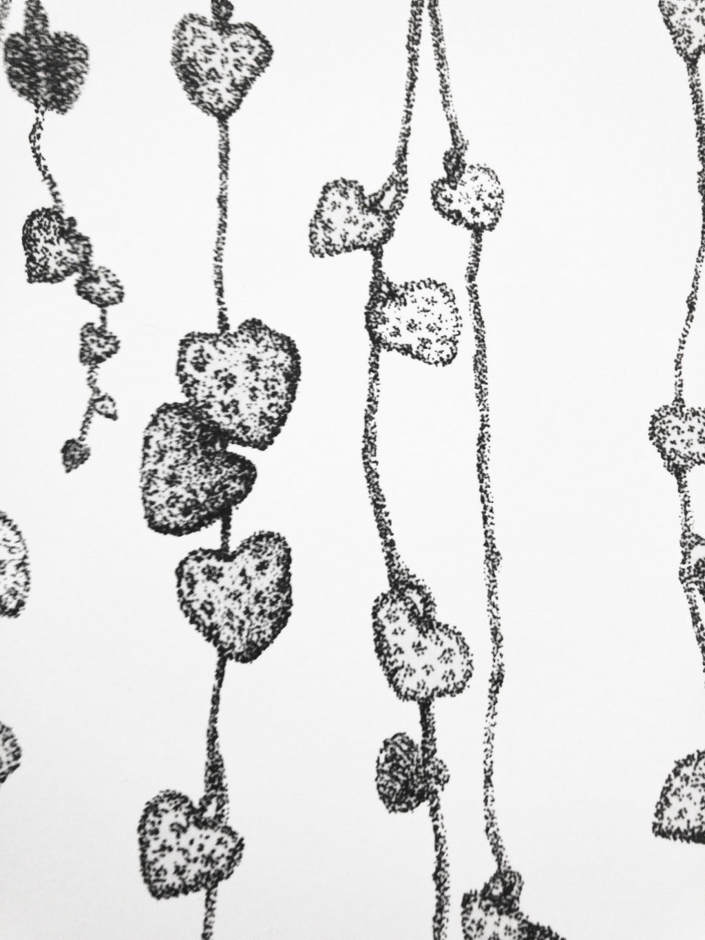 Herttalyhty köynnöskasvi juliste printti A4 koossa.
Toteutus tussikynällä, pistetekniikalla eli stipling tyylillä. Tulostettu paksulle julistepaperille.

21cm x 29,7cm