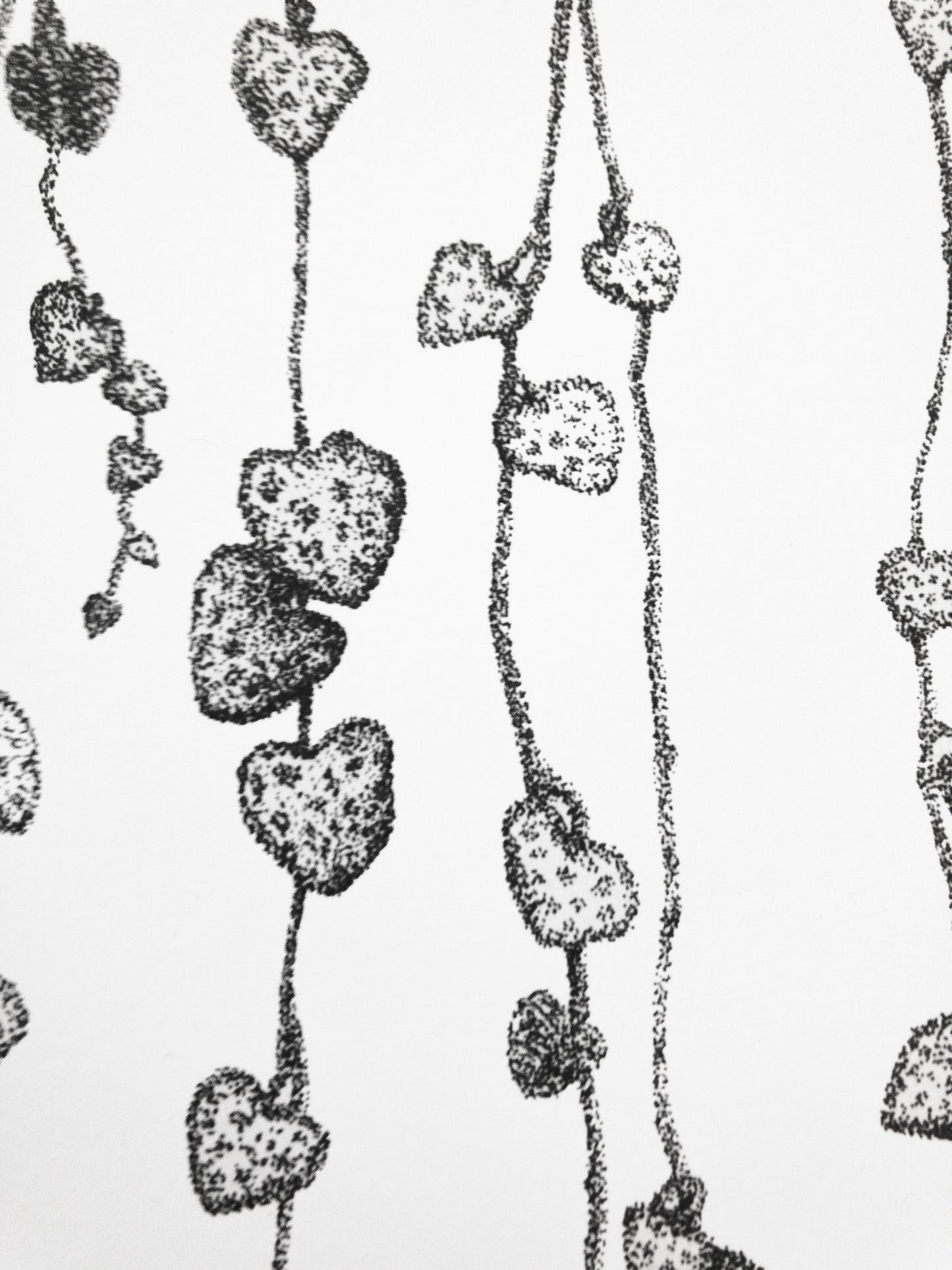 Herttalyhty köynnöskasvi juliste printti A4 koossa.
Toteutus tussikynällä, pistetekniikalla eli stipling tyylillä. Tulostettu paksulle julistepaperille.

21cm x 29,7cm